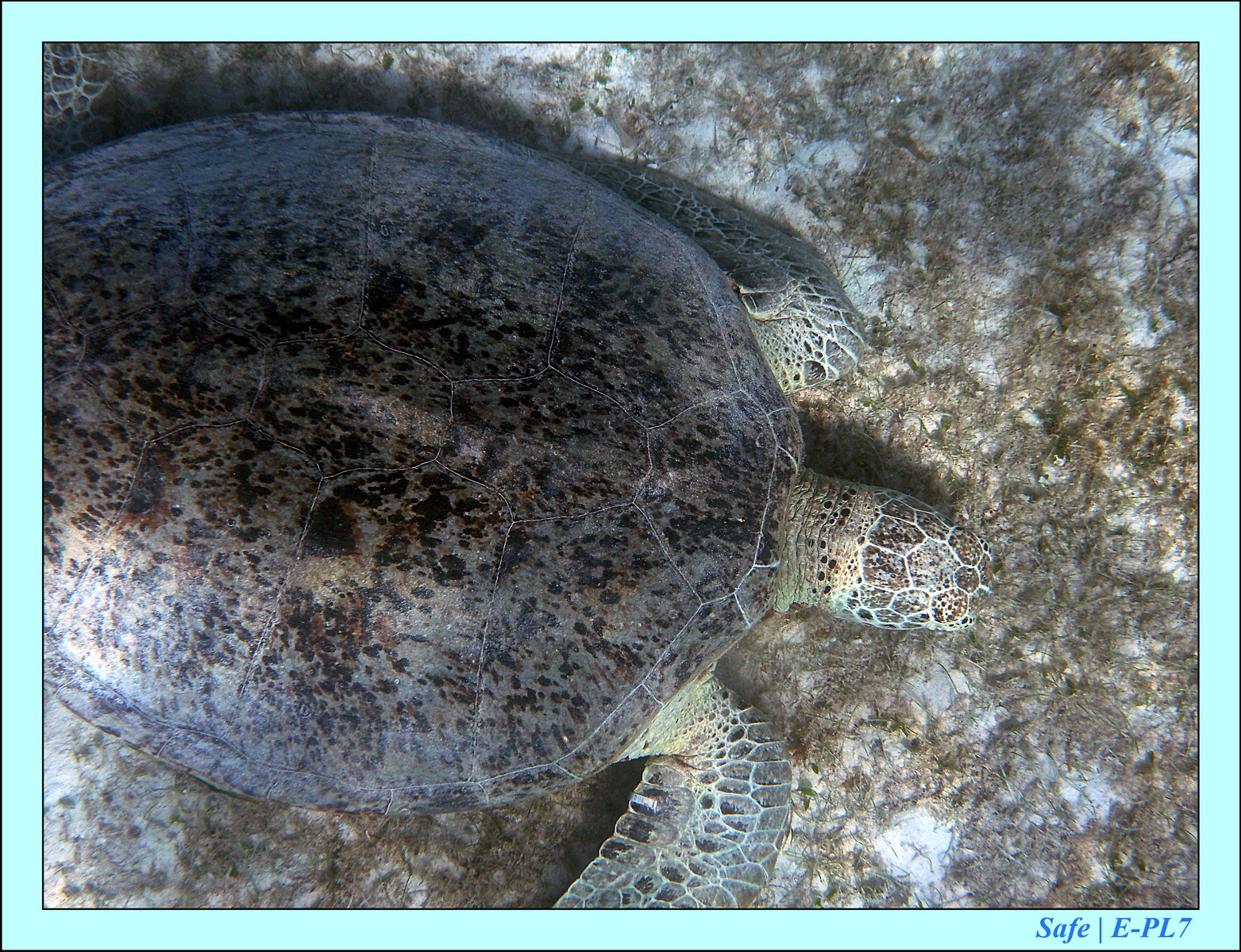 2016 - 07 - Leng Tengah - 084